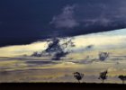 Marcus Offinger_A Break In The Weather.jpg